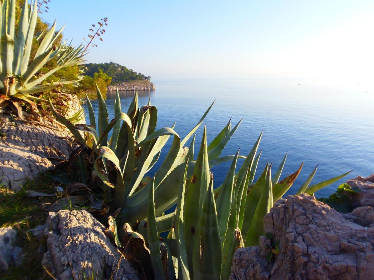 Apartment Burich Makarska Exterior foto